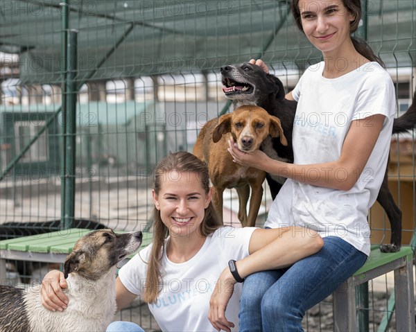 Smiley woman spending time with cute rescue dogs shelter