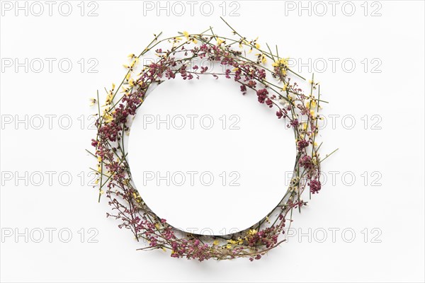 Circle from field flowers