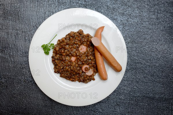 Lentil