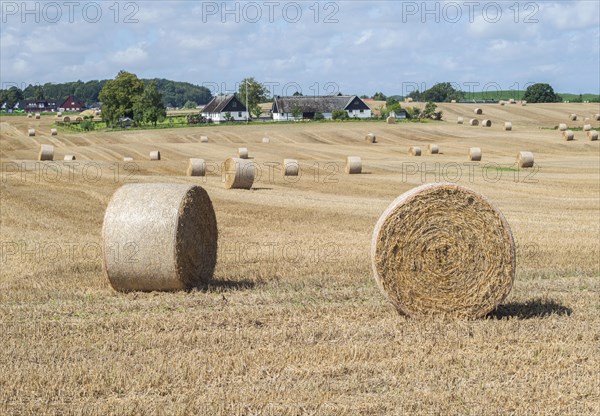 Straw bales on farmland at Skurup