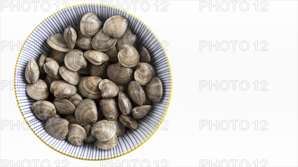 Top view plate with clams copy space