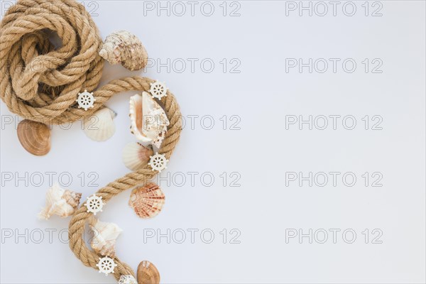 Sea shells with nautical rope white table
