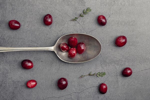 Top view cranberries with spoon