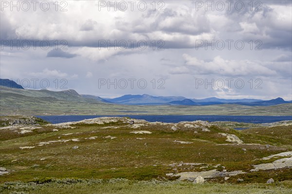 Tundra landscape with lake