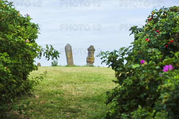 Gravestones at the former cemetery Stryper Kerkhof