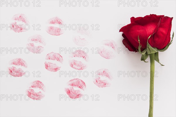 Fresh flower lipstick kiss paper