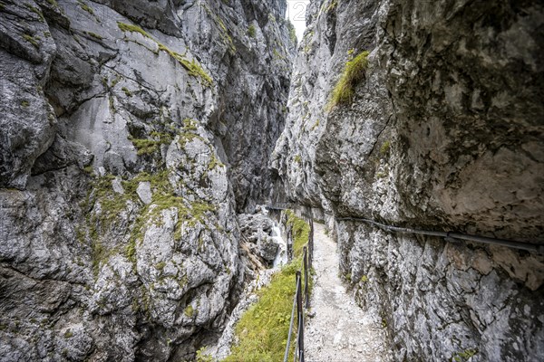 Path in the Hoellentalklamm