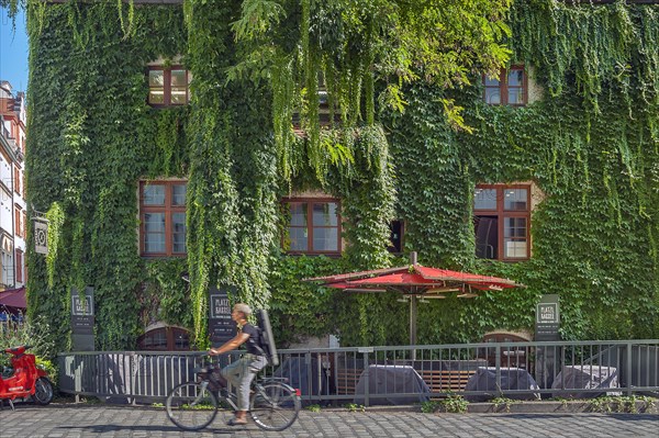 Overgrown facade at the Platzl-Karree with vine