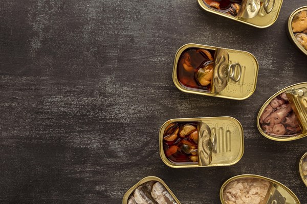 Top view preserved food cans with copy space