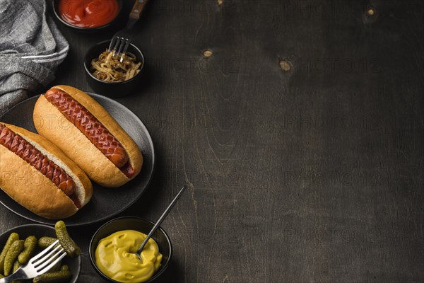Hot dogs plate with copy space