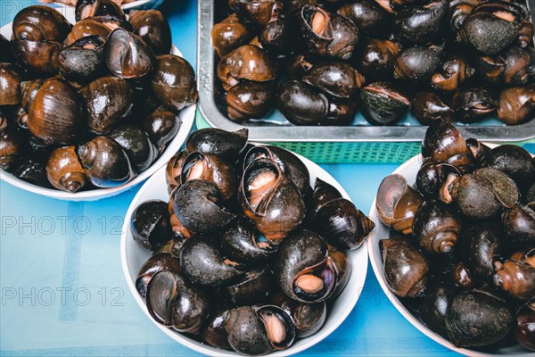 Close up of snails cooked in lemongrass and chilli called oc luoc xa