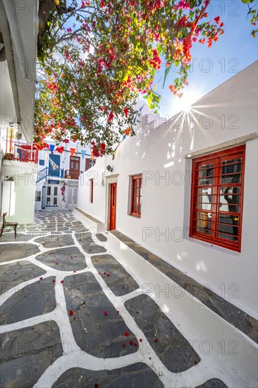 Cycladic Greek Orthodox Church with red bougainvillea
