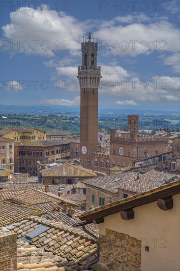 Above the rooftops of Siena with a view of the Torre del Mangia bell tower