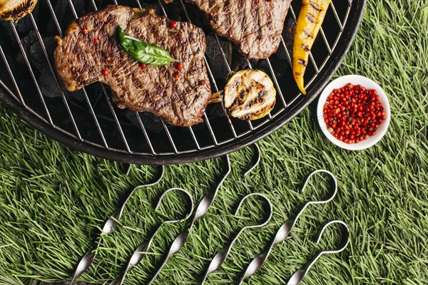 Grilled steak vegetable with metallic skewer barbecue grill green grass background