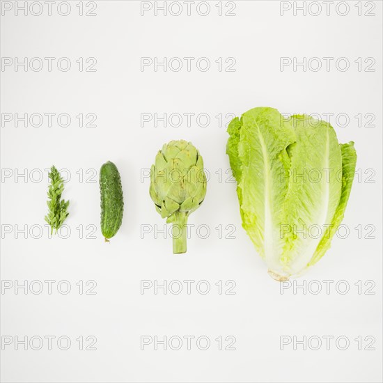 Lettuce artichoke cucumber parsley