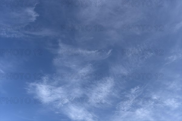 Cirrus clouds