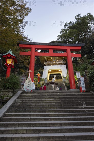 Large Torii