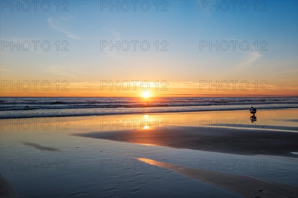 Atlantic ocean sunset with photographer silhouette taking images of surging waves at Fonte da Telha beach