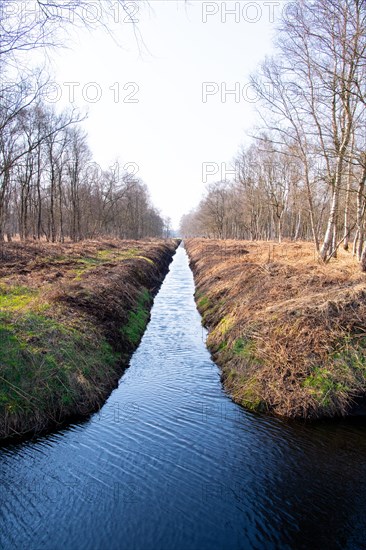 Peat cutting