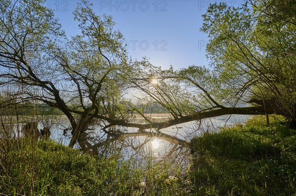 River landscape