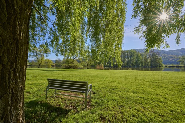 Bench