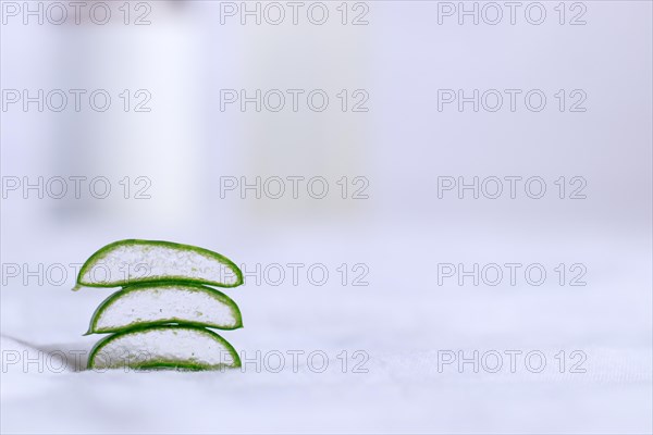 Selective focus of aloe vera slices in white background