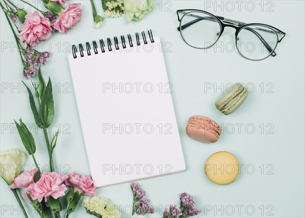 Pink carnations