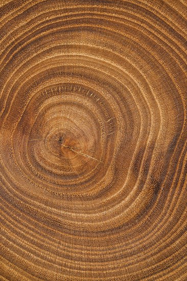 Top view wood background