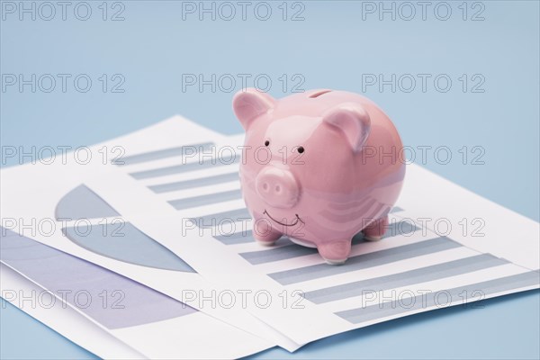 Piggy bank company documents