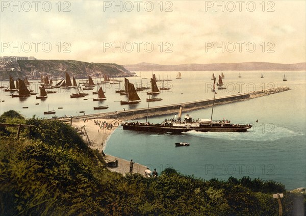 The breakwater in Brixham