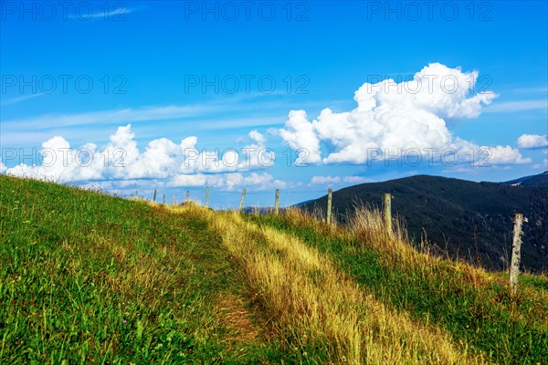 Lonely field path with pasture post