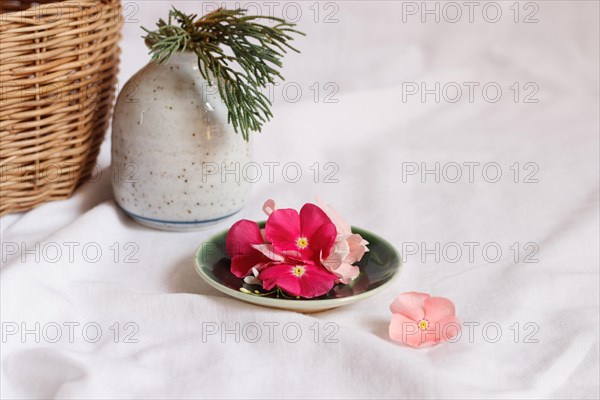 Dainty periwinkle flowers on a plate in bright white background