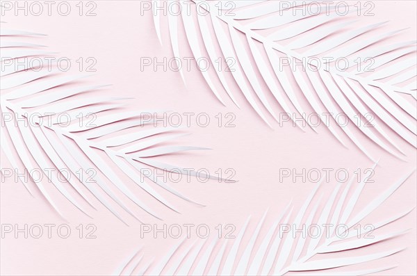 Three paper palm leaves pink table