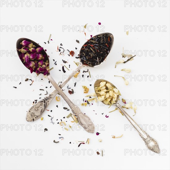 Close up variety spoon with spices