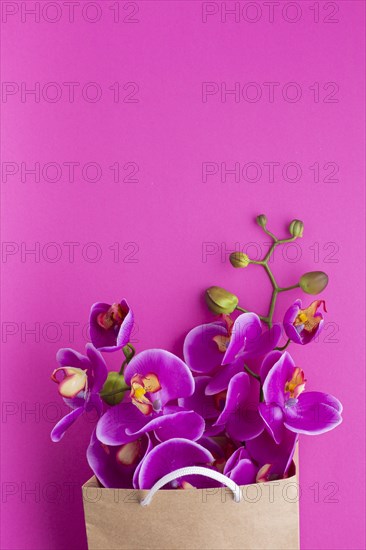 Copy space orchid flowers paper bag