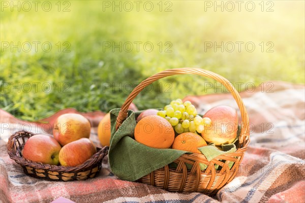Fruits baskets picnic blanket park