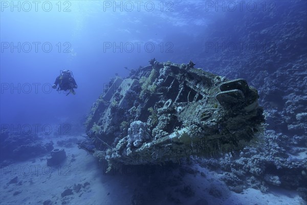 Wreck of sailboat overgrown with corals
