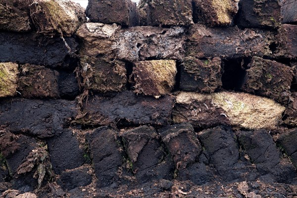 Peat cutting