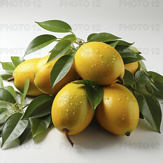 Mangoes