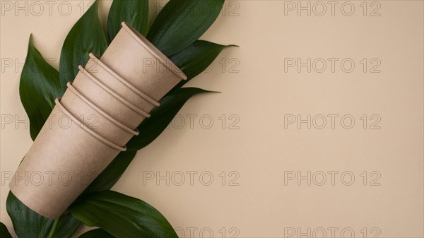 Eco friendly brown cups leaves