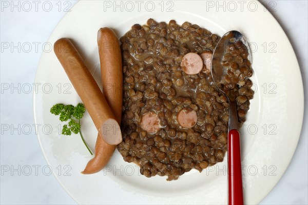 Lentil