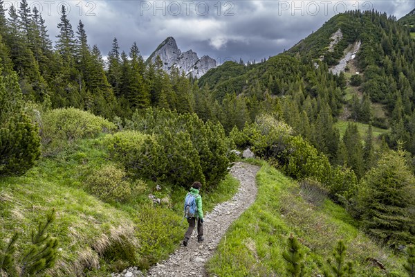 Mountaineer on a hiking trail in the Rotwand area