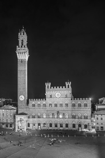 The Piazza del Campo with its bell tower Torre del Mangia and the town hall Palazzo Pubblico