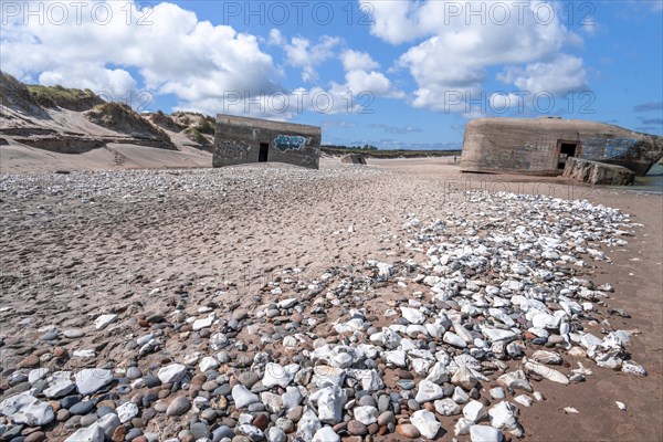 Bunkers on the beach