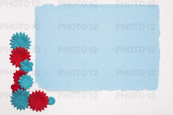 Colorful flowers near blue frame isolated background