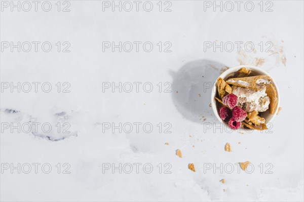 Ice cream with raspberry wafer