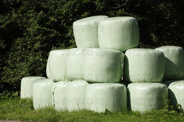 Grass silage packed with green plastic sheeting