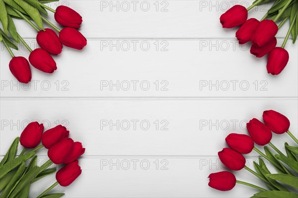 Red tulips frame with copy space