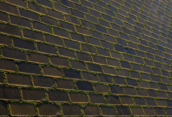 Street pavement at Premysl Otakar II Square in the historic old town of Ceske Budejovice