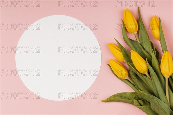 Composition yellow tulips with empty card